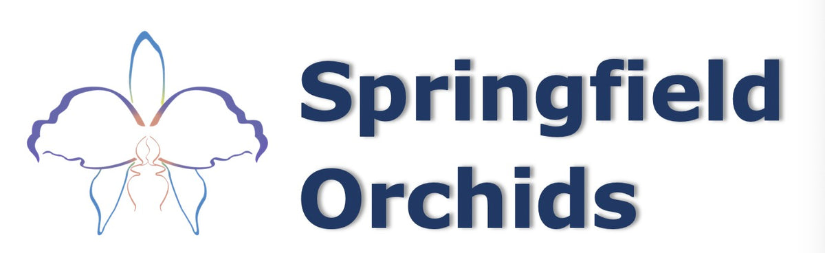Featured collection – Springfield Orchids